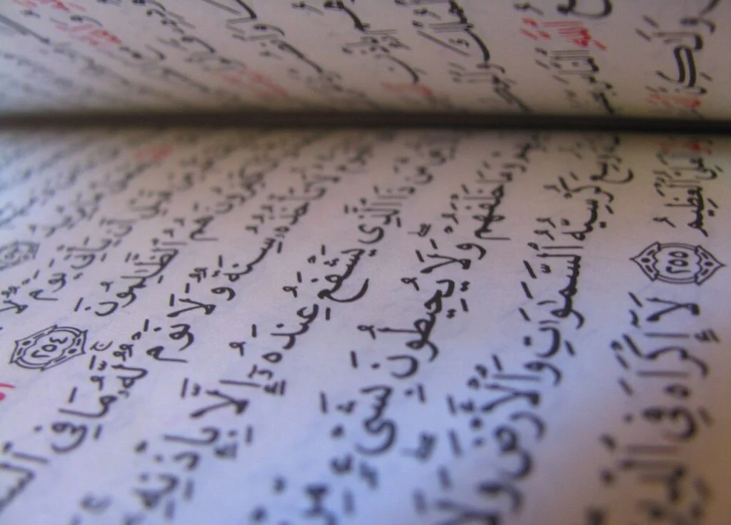 how to learn tajveed